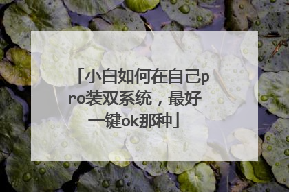 小白如何在自己pro装双系统,最好一键ok那种