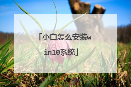 小白怎么安装win10系统