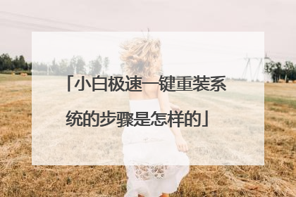 小白极速一键重装系统的步骤是怎样的