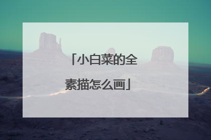 小白菜的全素描怎么画