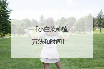 小白菜种植方法和时间