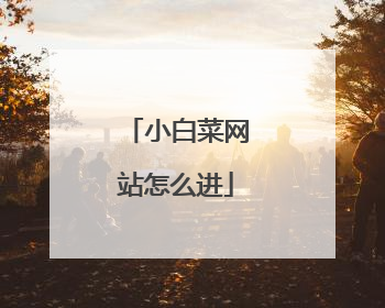 小白菜网站怎么进