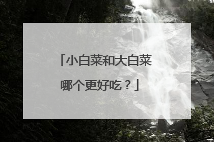 小白菜和大白菜哪个更好吃?