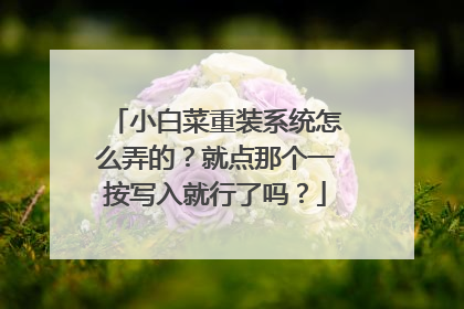 小白菜重装系统怎么弄的?就点那个一按写入就行了吗?