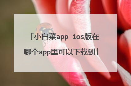 小白菜app ios版在哪个app里可以下载到