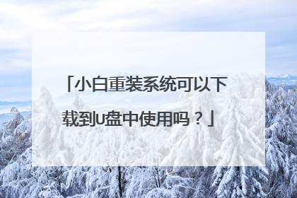 小白重装系统可以下载到U盘中使用吗?