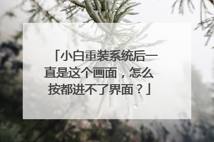 小白重装系统后一直是这个画面，怎么按都进不了界面？