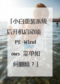 小白重装系统后开机启动项 PE-Windows 菜单如何删除?