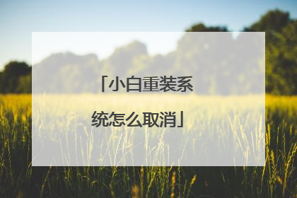 小白重装系统怎么取消