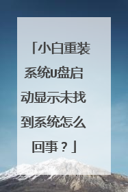 小白重装系统U盘启动显示未找到系统怎么回事?