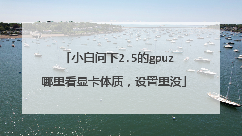 小白问下2.5的gpuz哪里看显卡体质,设置里没