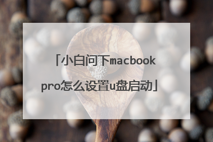 小白问下macbookpro怎么设置u盘启动