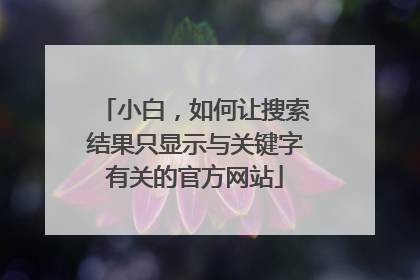 小白,如何让搜索结果只显示与关键字有关的官方网站
