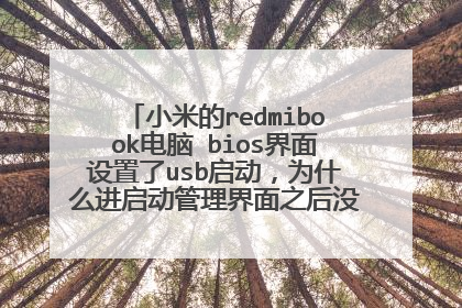小米的redmibook电脑 bios界面设置了usb启动,为什么进启动管理界面之后没用显示u盘?