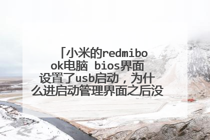 小米的redmibook电脑 bios界面设置了usb启动,为什么进启动管理界面之后没用显示u盘?