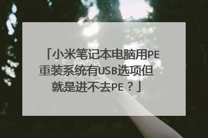 小米笔记本电脑用PE重装系统有USB选项但就是进不去PE?