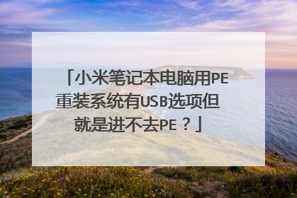小米笔记本电脑用PE重装系统有USB选项但就是进不去PE?
