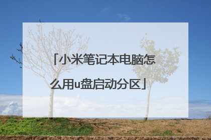小米笔记本电脑怎么用u盘启动分区