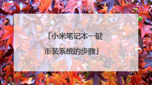 小米笔记本一键重装系统的步骤