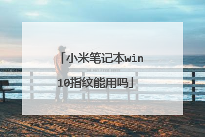 小米笔记本win10指纹能用吗