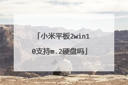 小米平板2win10支持m.2硬盘吗