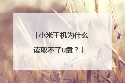 小米手机为什么读取不了U盘?