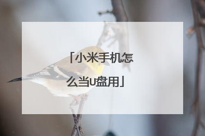 小米手机怎么当U盘用