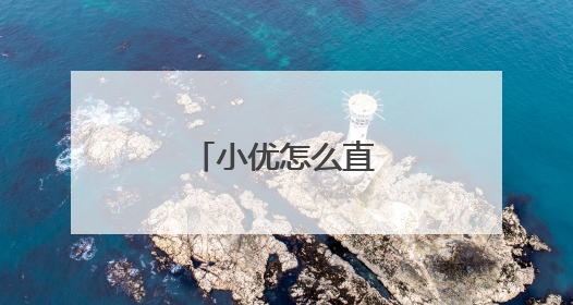 小优怎么直接连接电脑