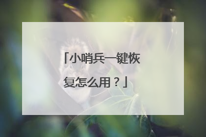 小哨兵一键恢复怎么用?