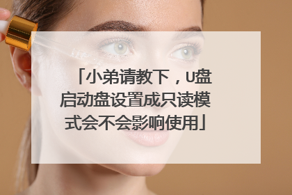 小弟请教下，U盘启动盘设置成只读模式会不会影响使用