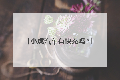 小虎汽车有快充吗?