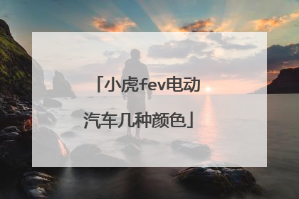 小虎fev电动汽车几种颜色