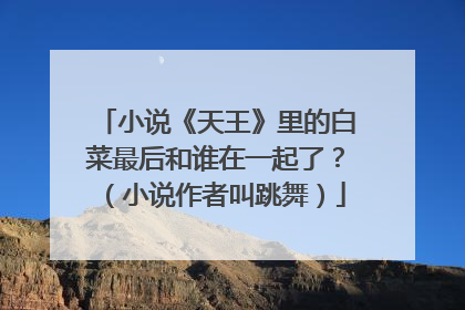 小说《天王》里的白菜最后和谁在一起了?(小说作者叫跳舞)