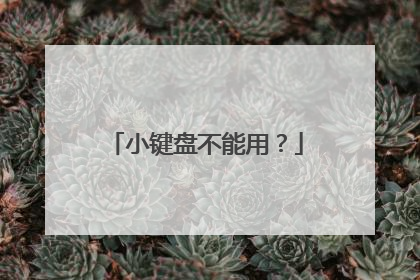 小键盘不能用？