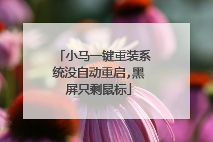 小马一键重装系统没自动重启,黑屏只剩鼠标