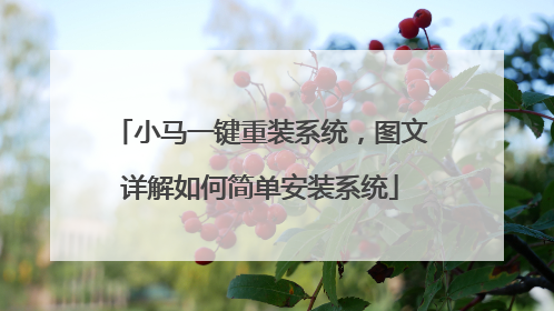 小马一键重装系统，图文详解如何简单安装系统