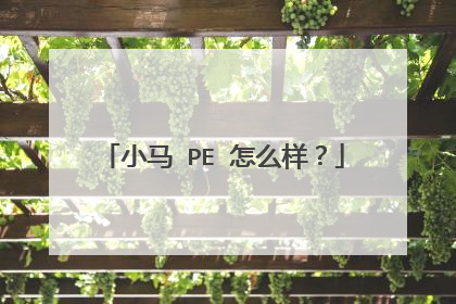 小马 PE 怎么样?
