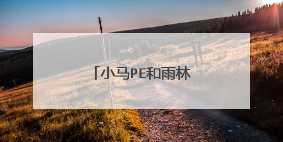 小马PE和雨林木风PE哪个好