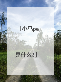 小马pe是什么?