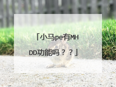 小马pe有MHDD功能吗??