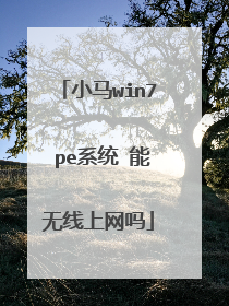 小马win7 pe系统 能无线上网吗
