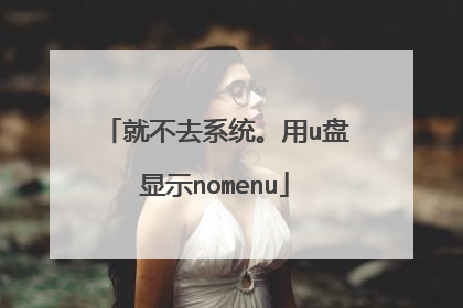 就不去系统。用u盘显示nomenu