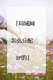 局域网怎么分配IP的