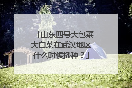 山东四号大包菜大白菜在武汉地区什么时候播种?