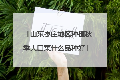 山东枣庄地区种植秋季大白菜什么品种好