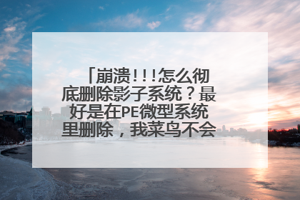崩溃!!!怎么彻底删除影子系统?最好是在PE微型系统里删除,我菜鸟不会用DOS的方法。