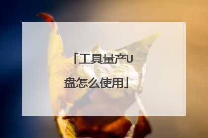 工具量产U盘怎么使用
