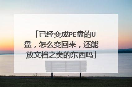 已经变成PE盘的U盘,怎么变回来,还能放文档之类的东西吗