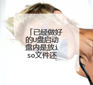 已经做好的U盘启动盘内是放iso文件还是什么？