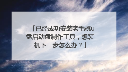 已经成功安装老毛桃U盘启动盘制作工具，想装机下一步怎么办？